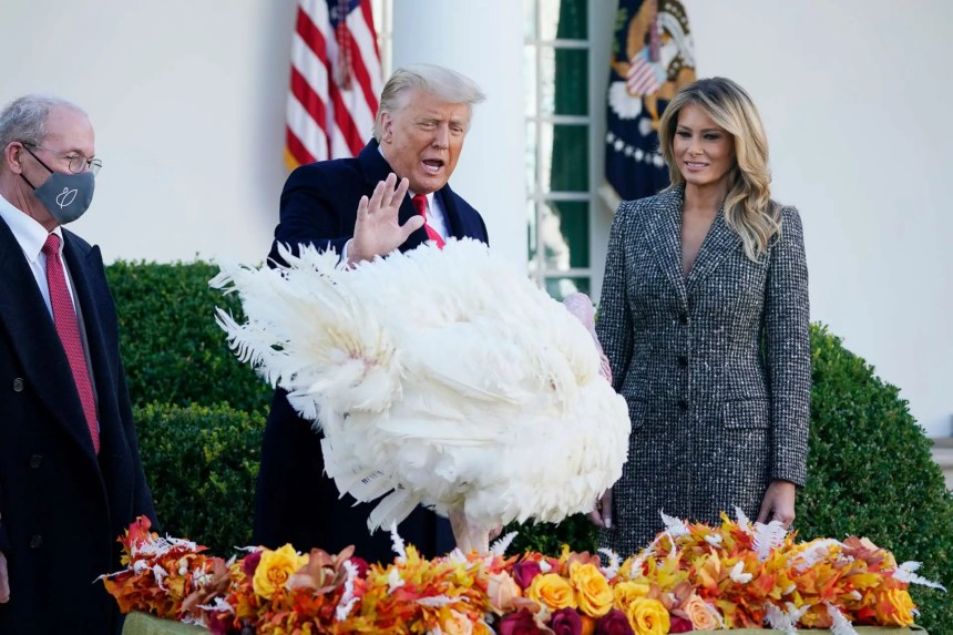 2018 White House Thanksgiving - Turkey Pardon - The Brief Scoop